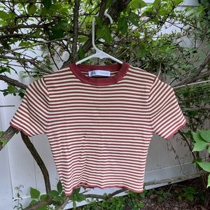 Stripped Zara crop top